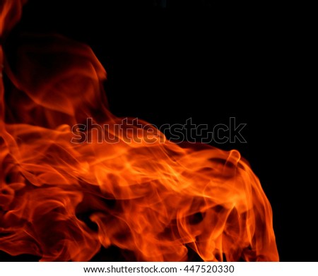 Texture of bright fire flames on a black background