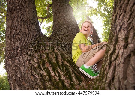 Portrait of cute kid boy sitting on the big old tree on sunny day.  Child climbing a tree. little boy sitting on tree branch. Outdoors. Sunny day. Active boy playing in the garden. Lifestyle concept Royalty-Free Stock Photo #447579994