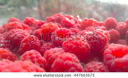 berry raspberry macro in daylight. Royalty-Free Stock Photo #447663673