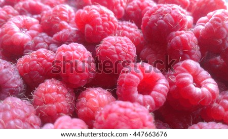 berry raspberry macro in daylight in the summer. Royalty-Free Stock Photo #447663676