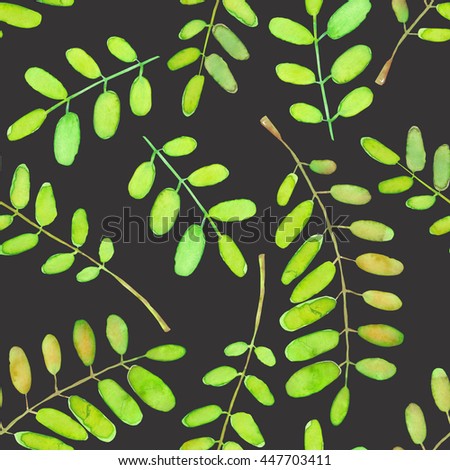 Seamless pattern with watercolor acacia tree branches, hand drawn isolated on a dark background