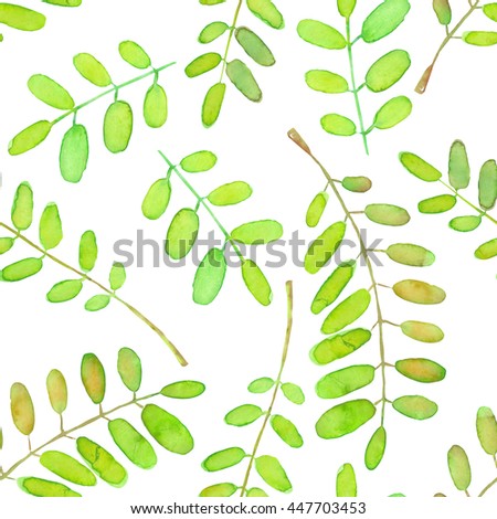 Seamless pattern with green watercolor acacia tree branches, hand drawn isolated on a white background