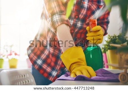 Beautiful young woman makes cleaning the house. Girl rubs dust.
 Royalty-Free Stock Photo #447713248