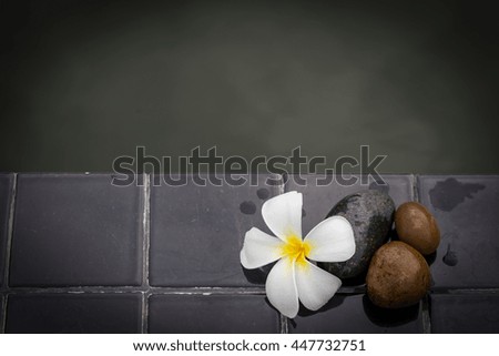 White with yellow plumeria flower on pebble rock and water for spa background
