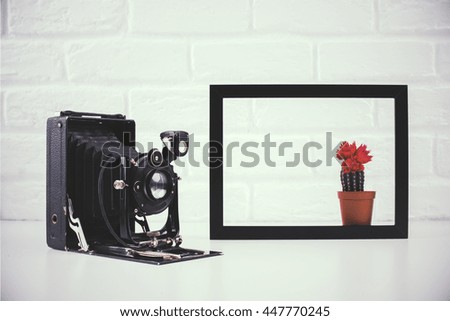 Front view of retro camera and picture frame with cactus on white brick wall background. Toned image