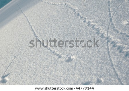 Field in a snow