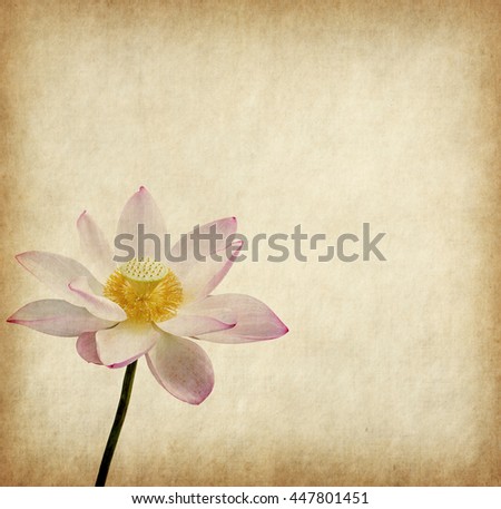 lotus on the old grunge paper background