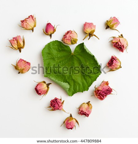 Heart frame with roses and green leaf isolated on white background. Flat design picture with top view
