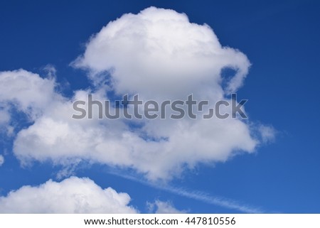 Cloud Formation - shaped like an animal, raccoon high in the sky on a summers day, fluffy white clouds contrasting against the deep blue sky, beautiful and imaginative, great for photography