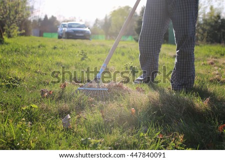 rakes to collect old grass