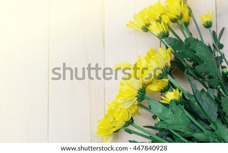 chrysanthemum yellow on background wood and soft light