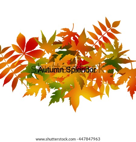 Autumn Leaves - Autumn Splendor