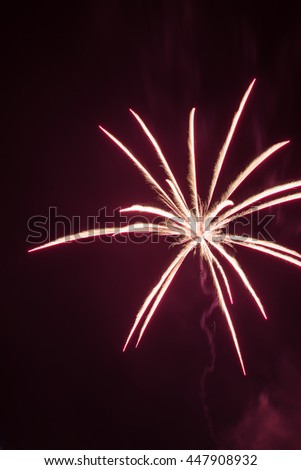 Pyrotechnic fireworks celibration in the night sky
