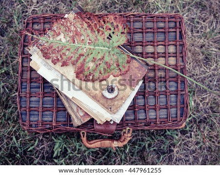 
Suitcase, old book, a dry leaf and shell on a grass background. Boho style background, top view, flat style. 