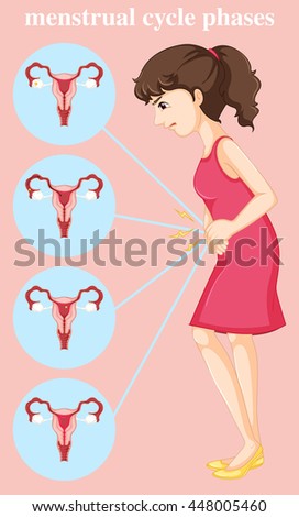 Woman having menstrual and diagram of different phases illustration
