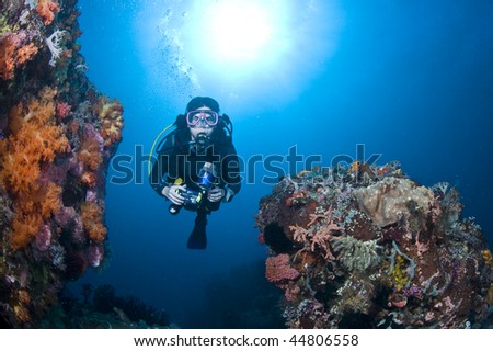 Diver with camera along the reef,  underwater photographer, Lembeh, Asia