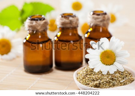 Beautiful composition of natural essential oils, dry camomile and fresh camomile flowers on bamboo background