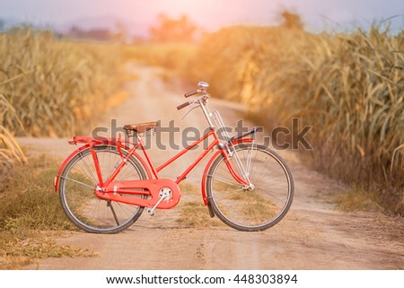 Landscape picture. Vintage Red Bicycle with Summer grass field at sunset ; vintage filter style. for greeting Cards ,post card 