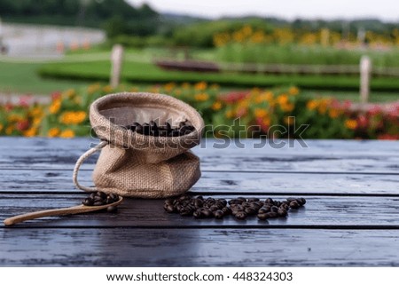 Coffee beans in bag, spoon of coffee of wood and beans on wood table with garden background