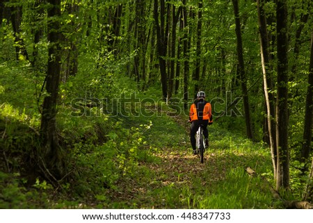 Cyclist Riding the Bike on a Trail in Summer Forest. Sport Concept.
