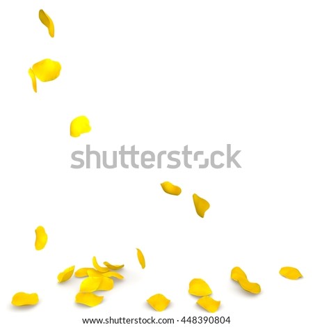 Yellow rose petals flying on the floor. Isolated white background