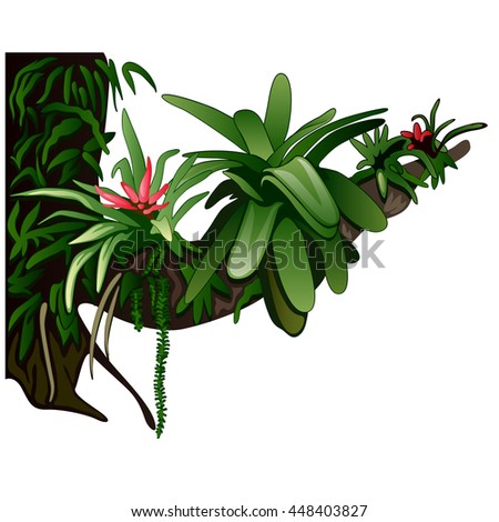 Branch of an old tree covered with vines and exotic plants, isolated on a white background. Vector illustration.