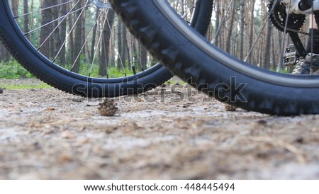 Two bikers start riding bikes through forest path. Friends cycling through wood. Low Angle View