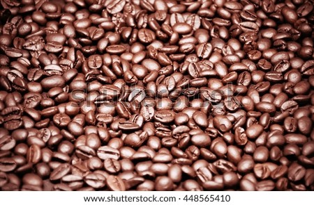 coffee beans background.organic coffee in farm  