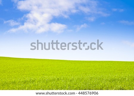 Typical Tuscan hill against a blue sky - image with copy space