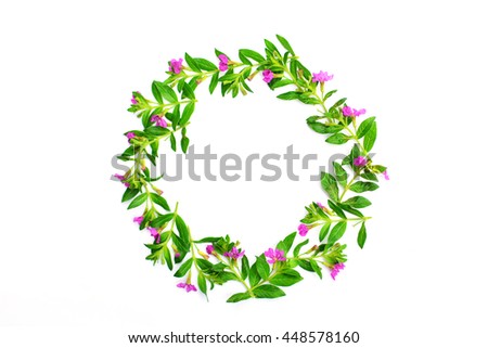 flower circle frame on white background