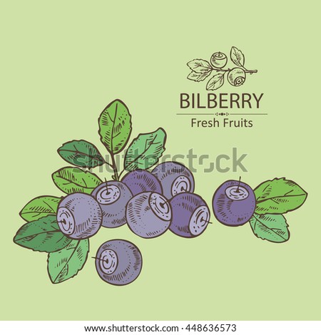 Background with bilberry . hand drawn