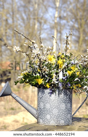 Daffodil and snowdrops in watering can