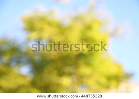 abtract background of blurred bokeh image of tree at summer day.