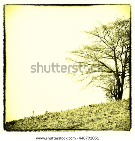 Tree silhouette in printmaking color effect style.