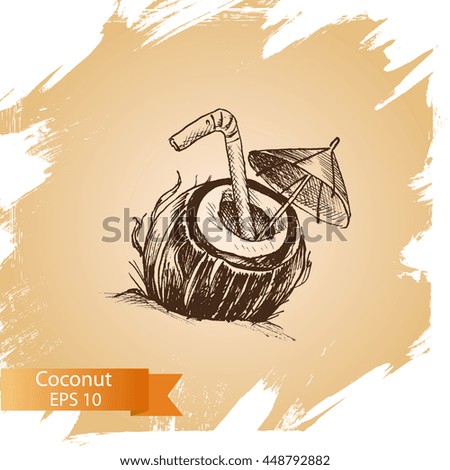 Vector illustration sketch coconut.
Illustration - exotic fruit.