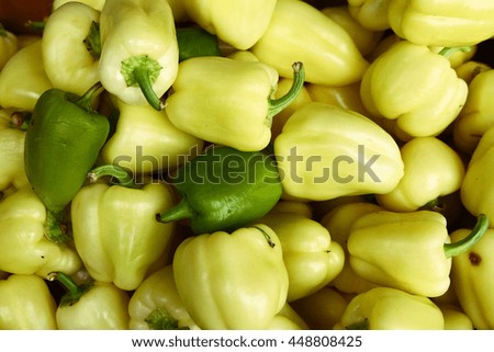 green sweet bulgarian pepper background close up photo