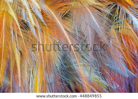 Brown chicken feather vintage color trends texture background