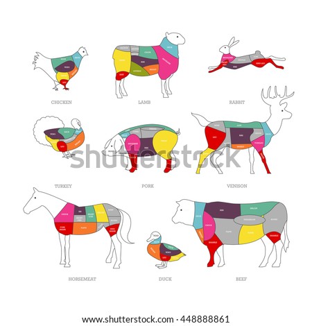 Butcher shop concept vector illustration. Meat cuts. Animal parts diagram of pork, beef, lamb, duck, chicken, rabbit.