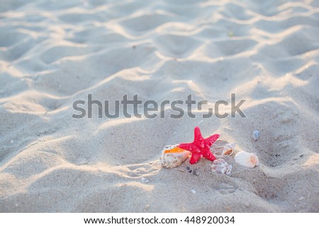 Sea shells , the red star with sand as background