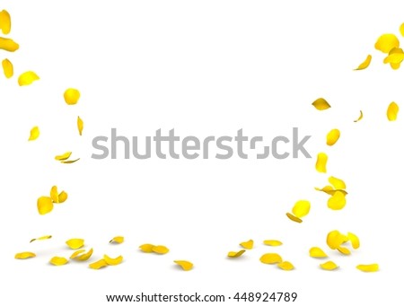 Yellow rose petals flying on the floor. Isolated white background Royalty-Free Stock Photo #448924789