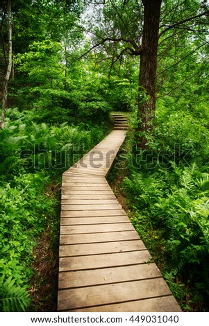 Wood Bridge Limehouse Bruce trail Halton Hills Ontario Royalty-Free Stock Photo #449031040