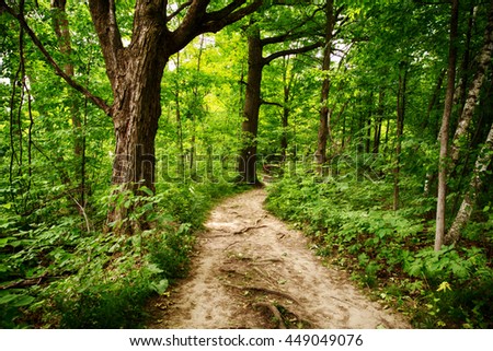 Limehouse Bruce trail Halton Hills Ontario woods path Royalty-Free Stock Photo #449049076