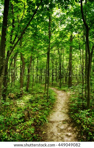 Limehouse Bruce trail Halton Hills Ontario woods path Royalty-Free Stock Photo #449049082