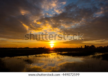 Sunrise dawn paddy fields