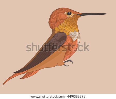 The bird of humming-bird is drawn in interesting style