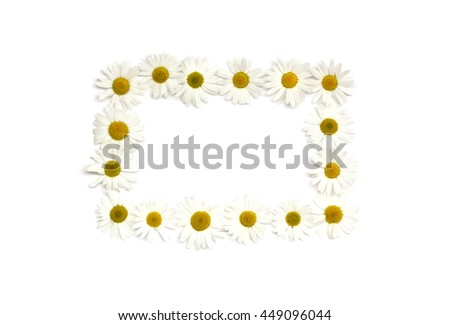 Daisy frame on white background isolated, flat lay, place for text or copy space, top view