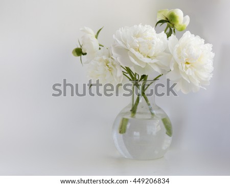 White peony in glass vase on white background Royalty-Free Stock Photo #449206834