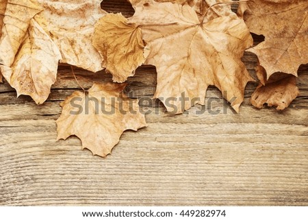 Autumn leaves on wooden background, copy space