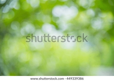 Abstract green nature background, blurry green nature in park for background.
