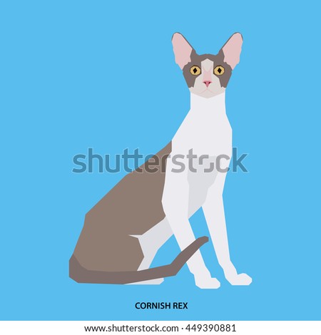 Cornish rex, Isolated cat breed, Vector illustration